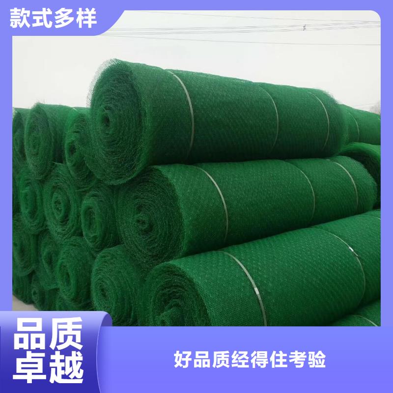 三維植被網(wǎng)滌綸土工格柵工藝層層把關(guān)