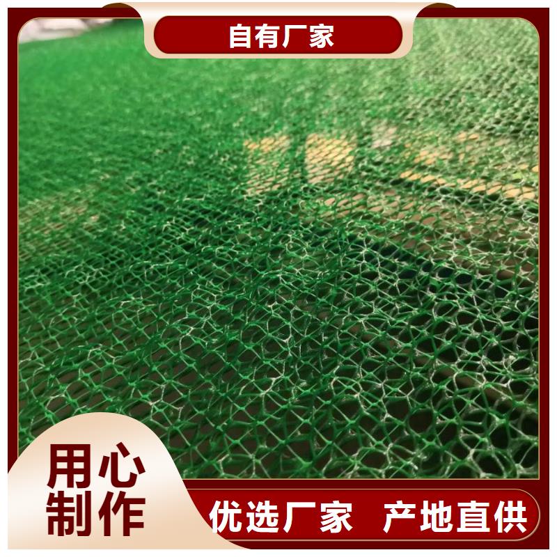 三维植被网,透水土工布专注生产制造多年