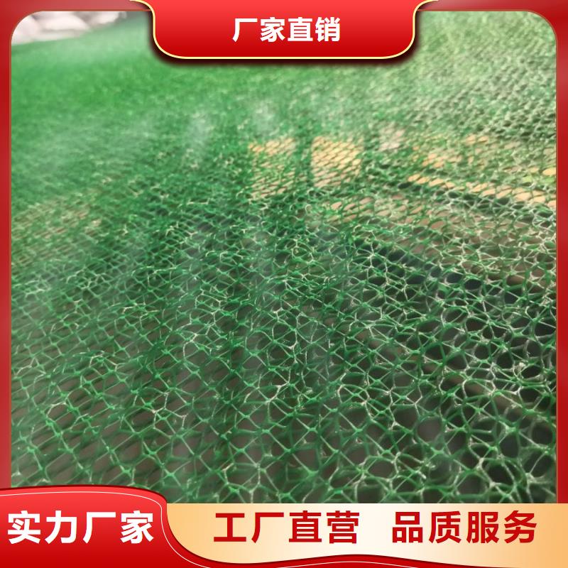 三维植被网三维土工网垫老品牌厂家