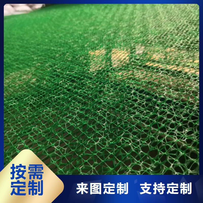 三維植被網(wǎng)土工格室設(shè)計(jì)制造銷售服務(wù)一體