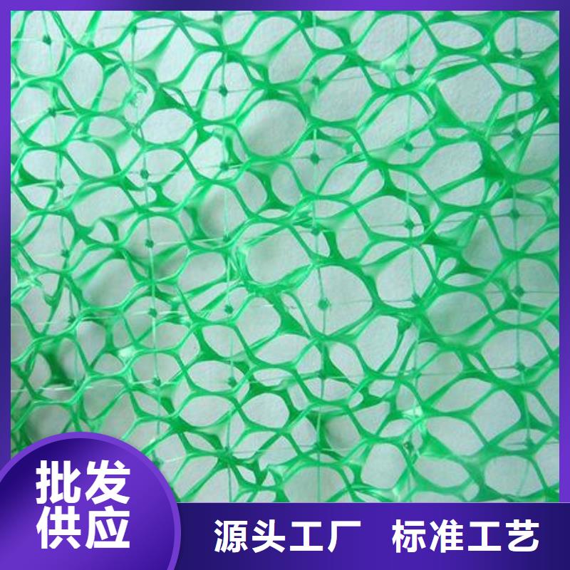 三维植被网,单向塑料土工格栅源头把关放心选购