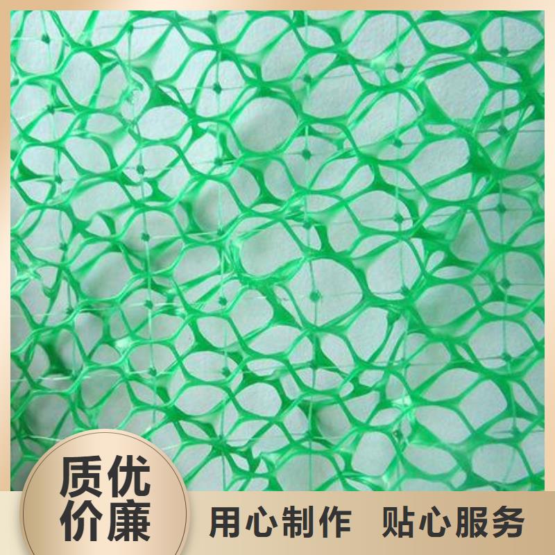 三维植被网土工格室品质之选