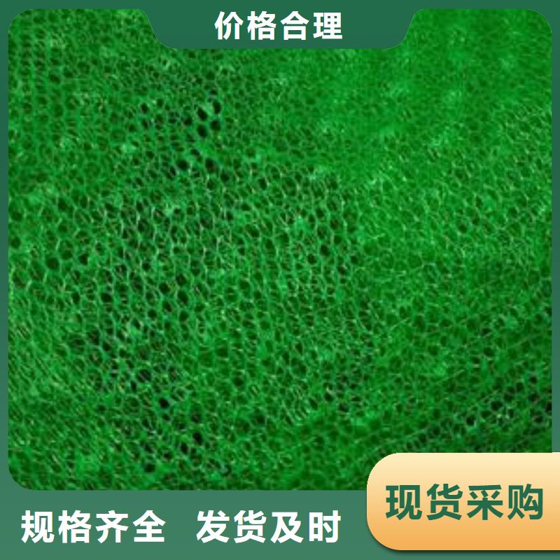 三維植被網(wǎng)_滌綸土工格柵用心經(jīng)營(yíng)