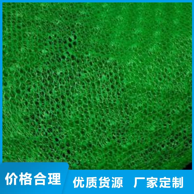 三维植被网-加筋布真材实料诚信经营