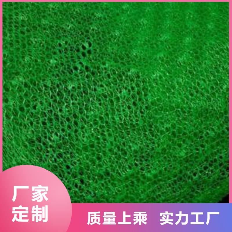 三維植被網(wǎng)土工席墊服務始終如一