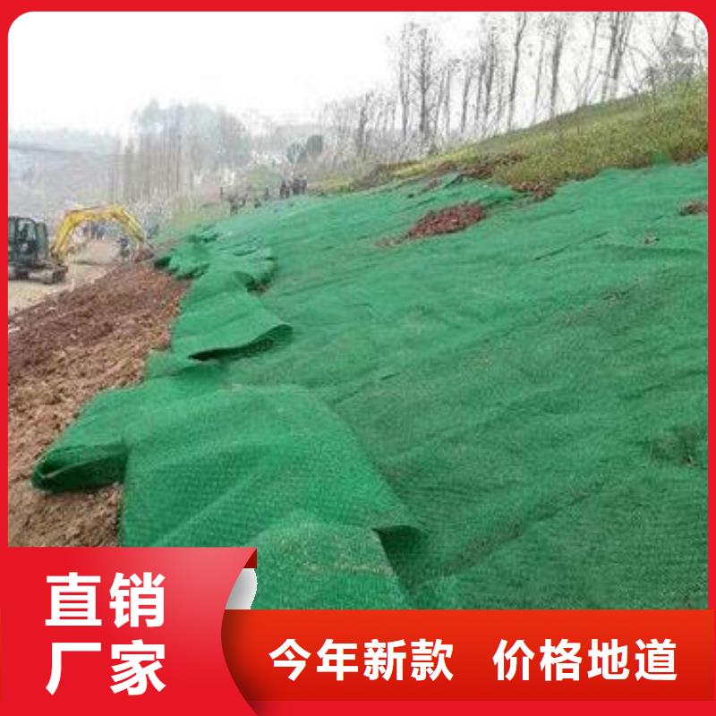 三维植被网凸结点钢塑土工格栅欢迎来电询价
