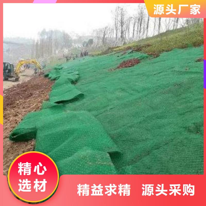 三維植被網(wǎng)_滌綸土工格柵用心經(jīng)營(yíng)