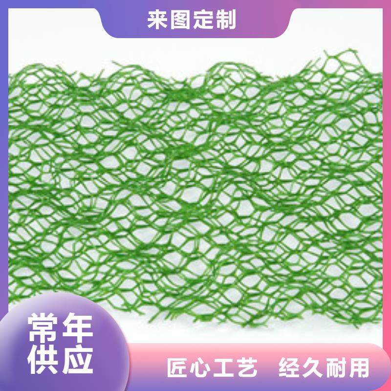 三維植被網(wǎng)滌綸土工格柵工藝層層把關(guān)
