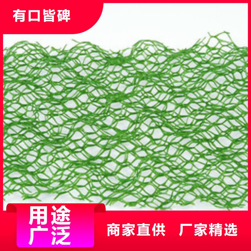 三维植被网复合土工膜用的放心