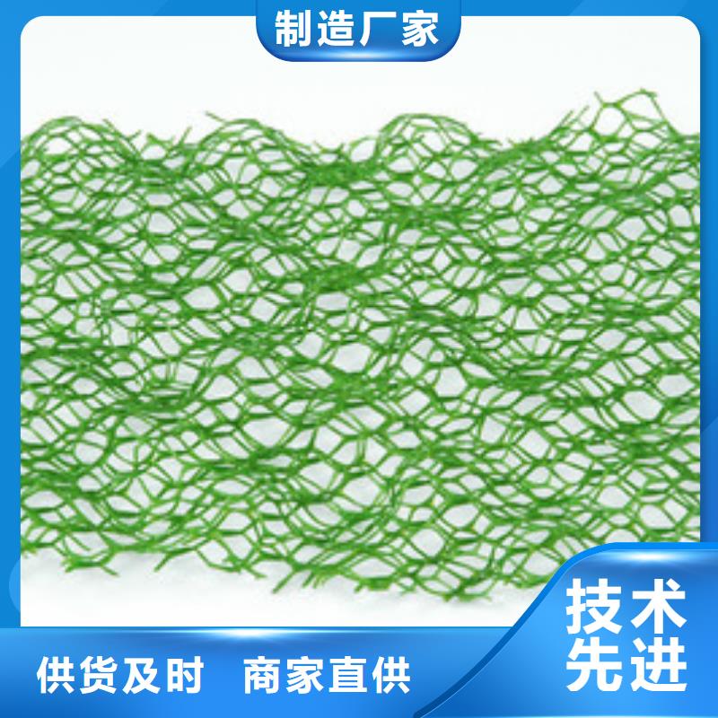 三維植被網(wǎng)護(hù)坡土工網(wǎng)銷售的是誠信