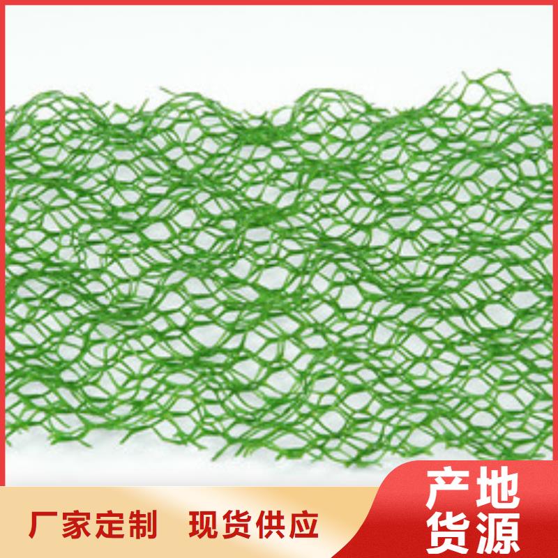 三维植被网土工格室品质之选