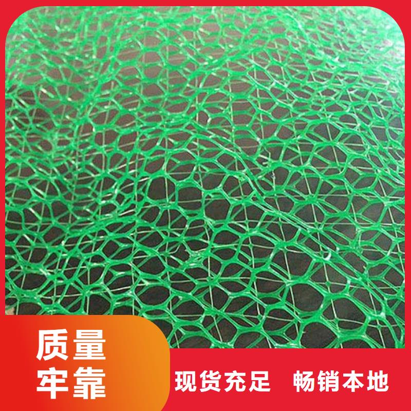 三維植被網(wǎng)土工格室設(shè)計(jì)制造銷售服務(wù)一體