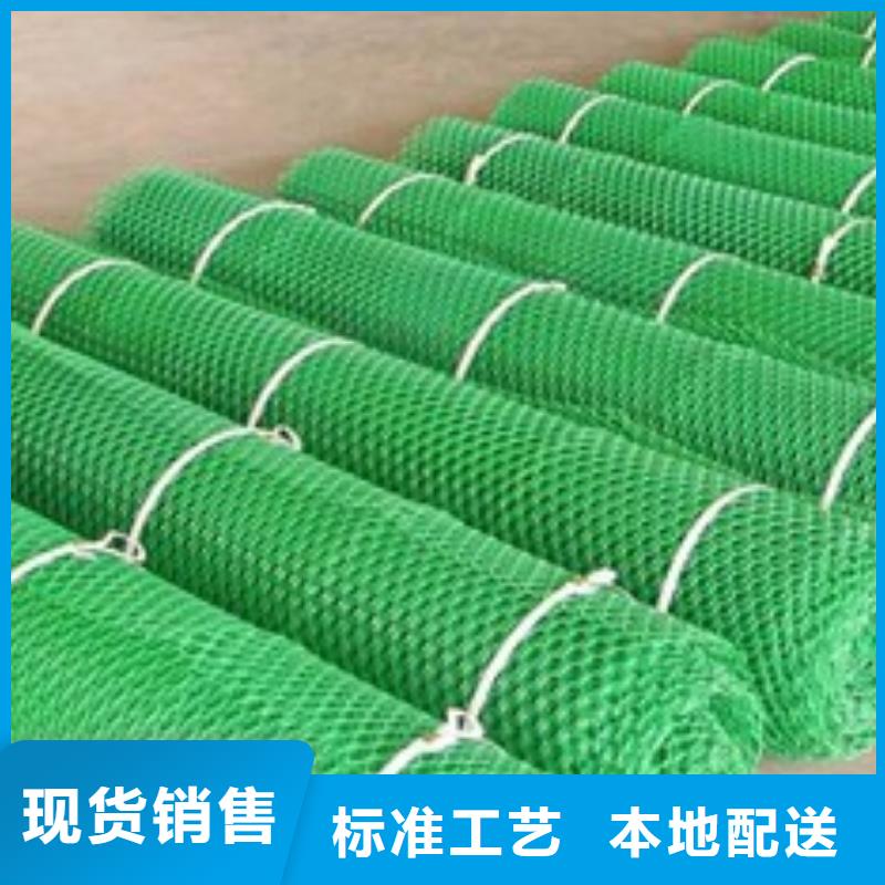 三維植被網(wǎng)滌綸格柵免費(fèi)寄樣