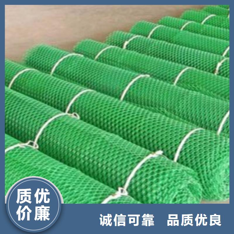 三维植被网-加筋布真材实料诚信经营