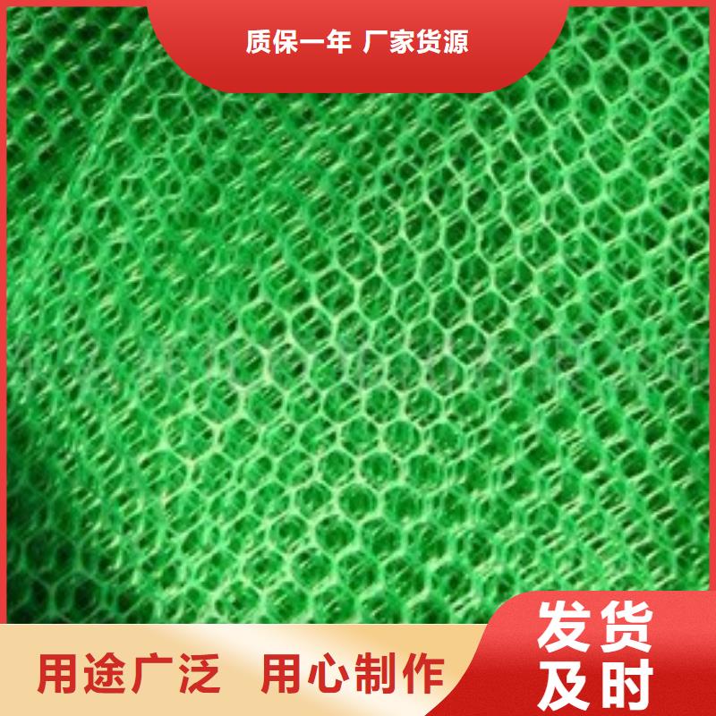 三维植被网-加筋布真材实料诚信经营