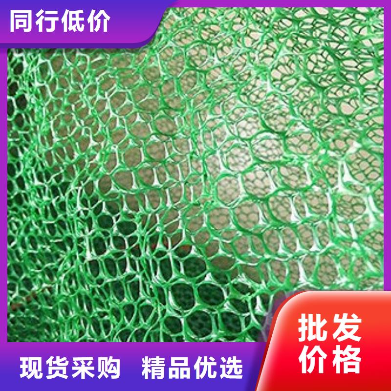 三維植被網(wǎng)護(hù)坡土工網(wǎng)多種優(yōu)勢放心選擇