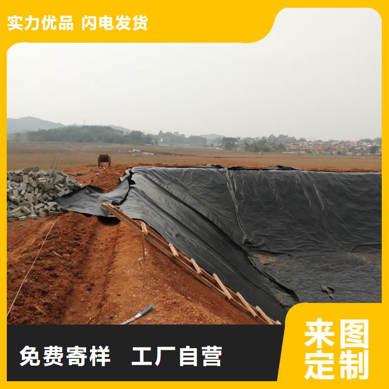 土工膜单向塑料格栅厂家供应