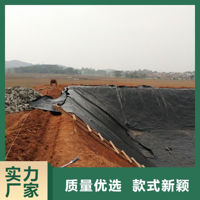 土工膜凸結(jié)點(diǎn)鋼塑土工格柵選擇大廠家省事省心