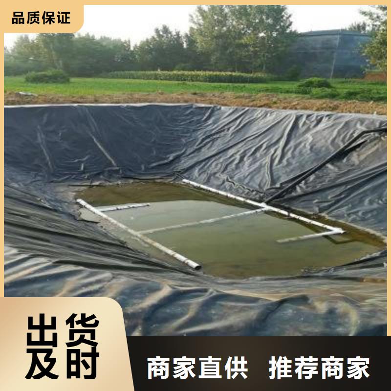 土工膜鋼塑土工格柵歡迎來(lái)電咨詢(xún)