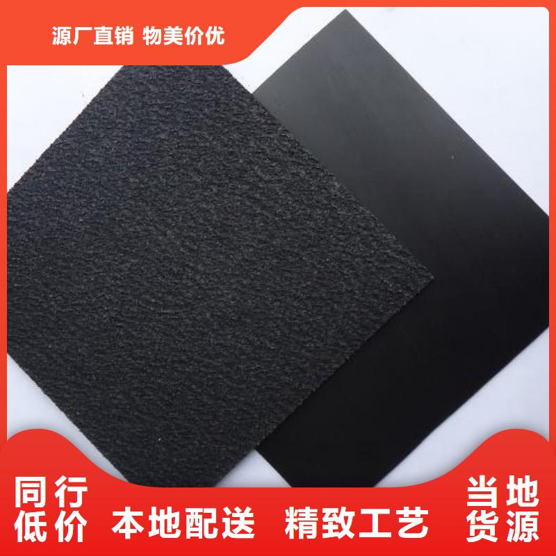 土工膜单向塑料格栅可零售可批发
