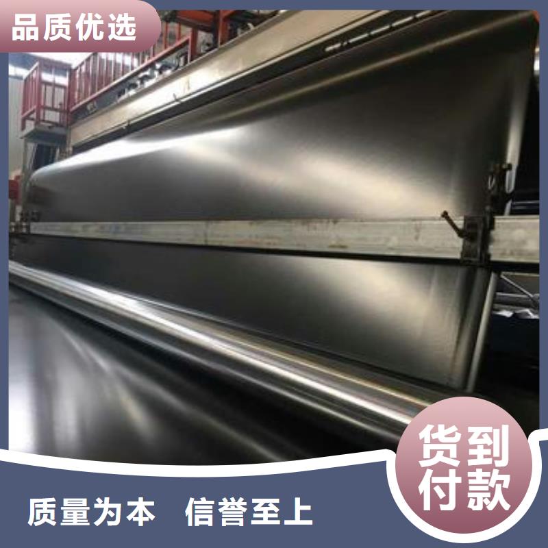 防滲土工膜甲魚(yú)養(yǎng)殖膜魚(yú)塘養(yǎng)殖膜生產(chǎn)基地