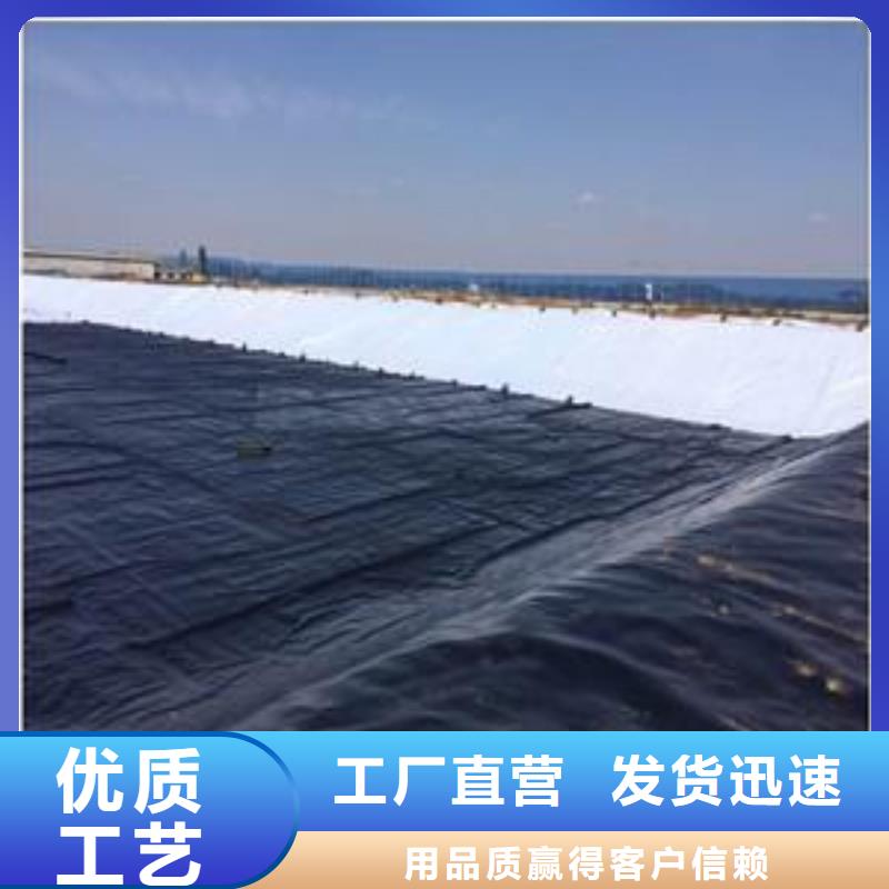 土工膜钢塑土工格栅产品细节