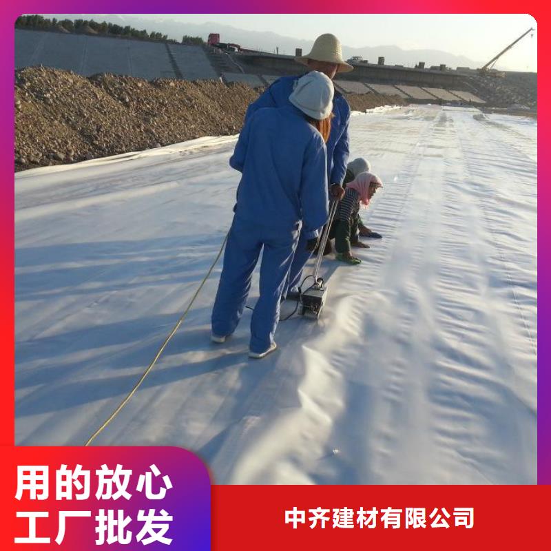 土工膜單向塑料格柵可零售可批發(fā)