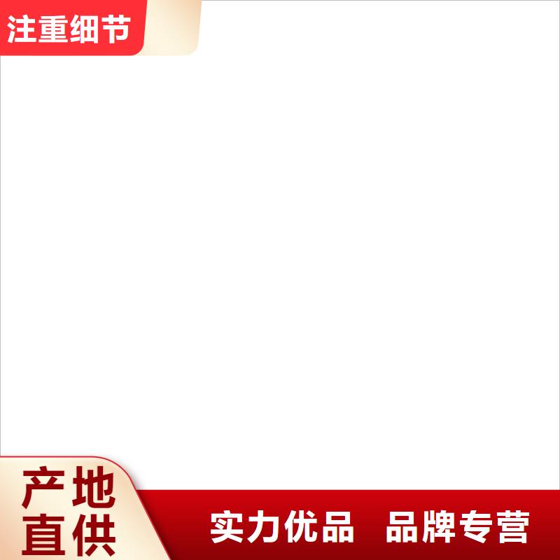 耀華XK3190-DS10地磅儀表