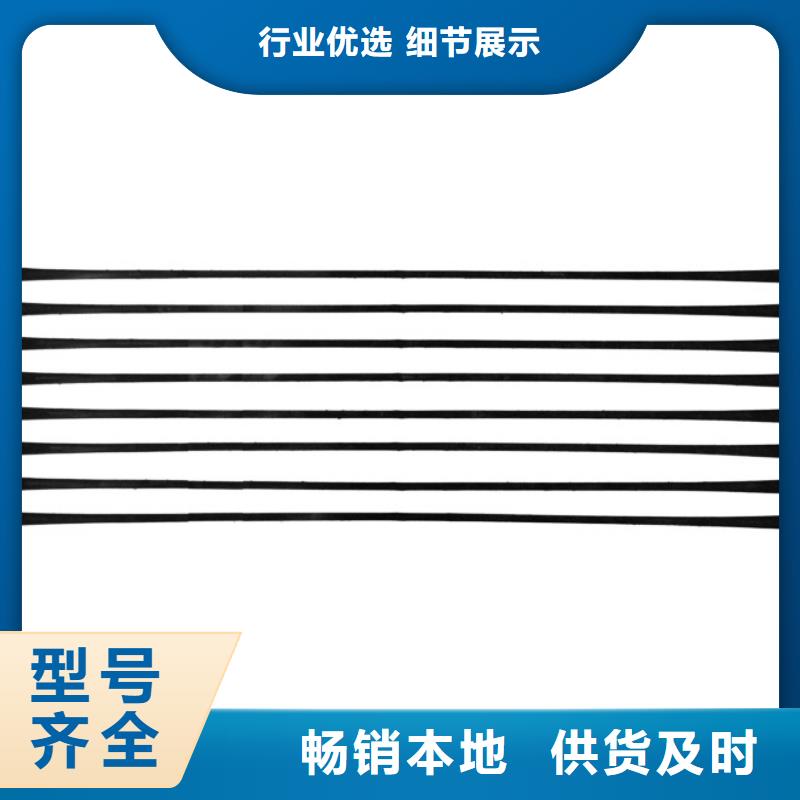 單向拉伸塑料格柵水土保護(hù)毯量大更優(yōu)惠