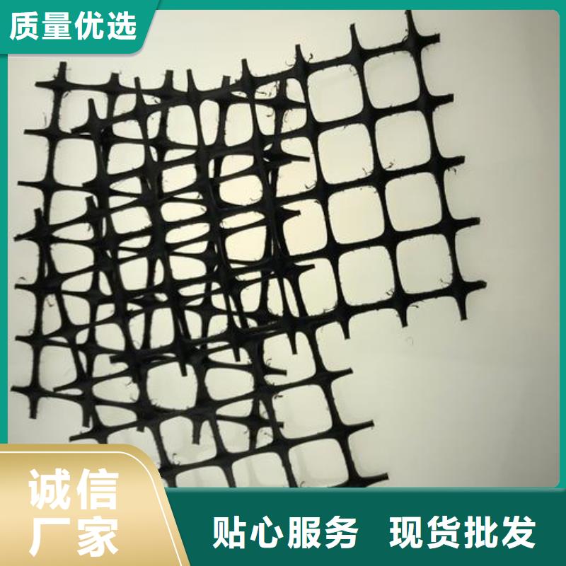 雙向塑料土工格柵三維植被網(wǎng)實(shí)體誠(chéng)信廠家