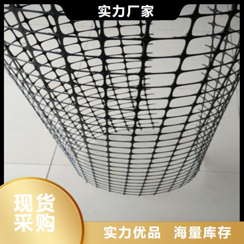 双向塑料土工格栅涤纶土工格栅一手货源源头厂家
