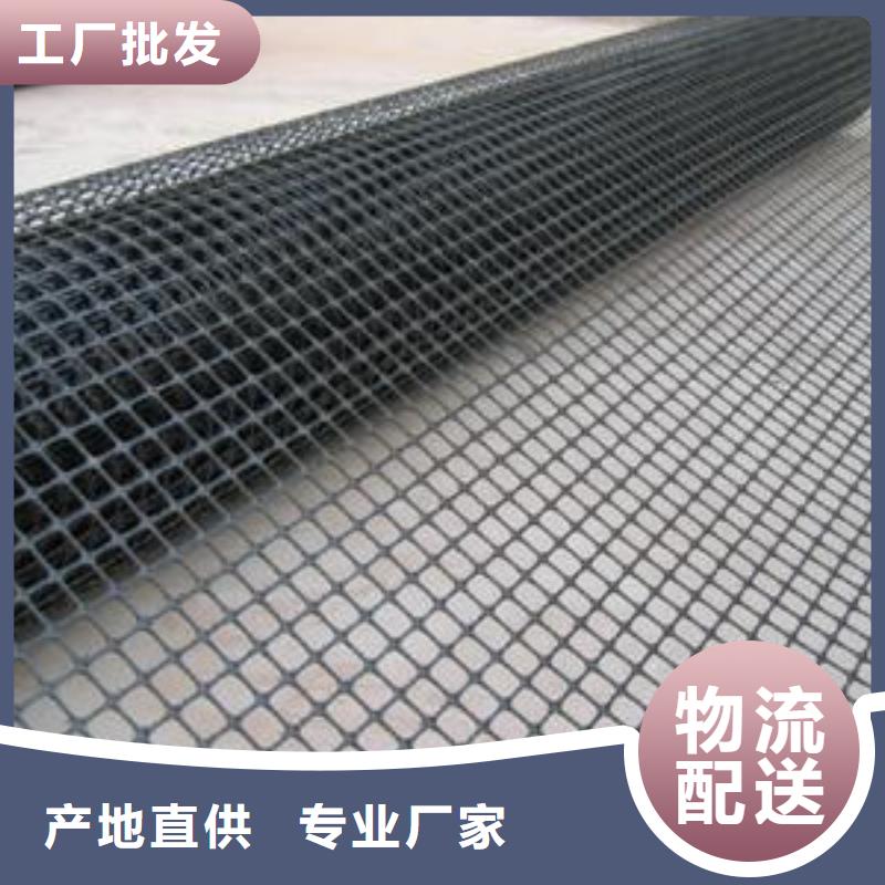 双向塑料土工格栅涤纶土工格栅同行低价