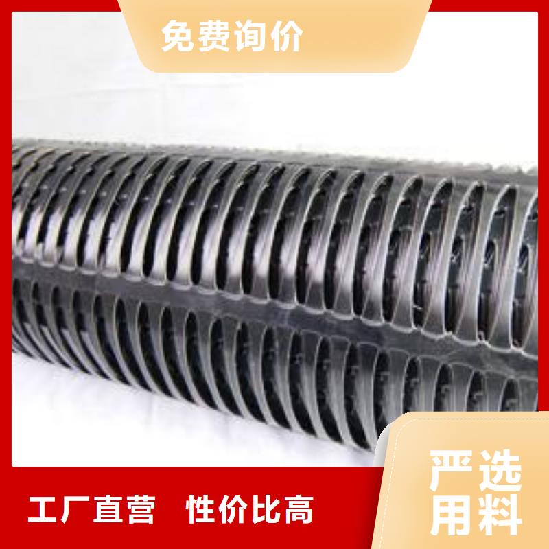 双向塑料土工格栅复合土工膜主推产品