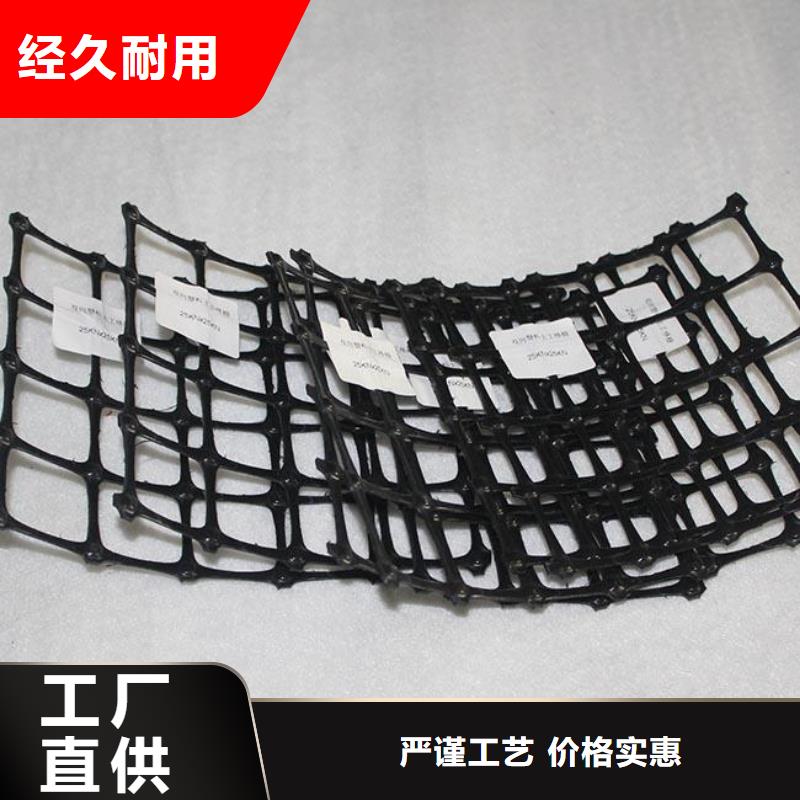 雙向塑料土工格柵三維植被網(wǎng)實(shí)體誠(chéng)信廠家