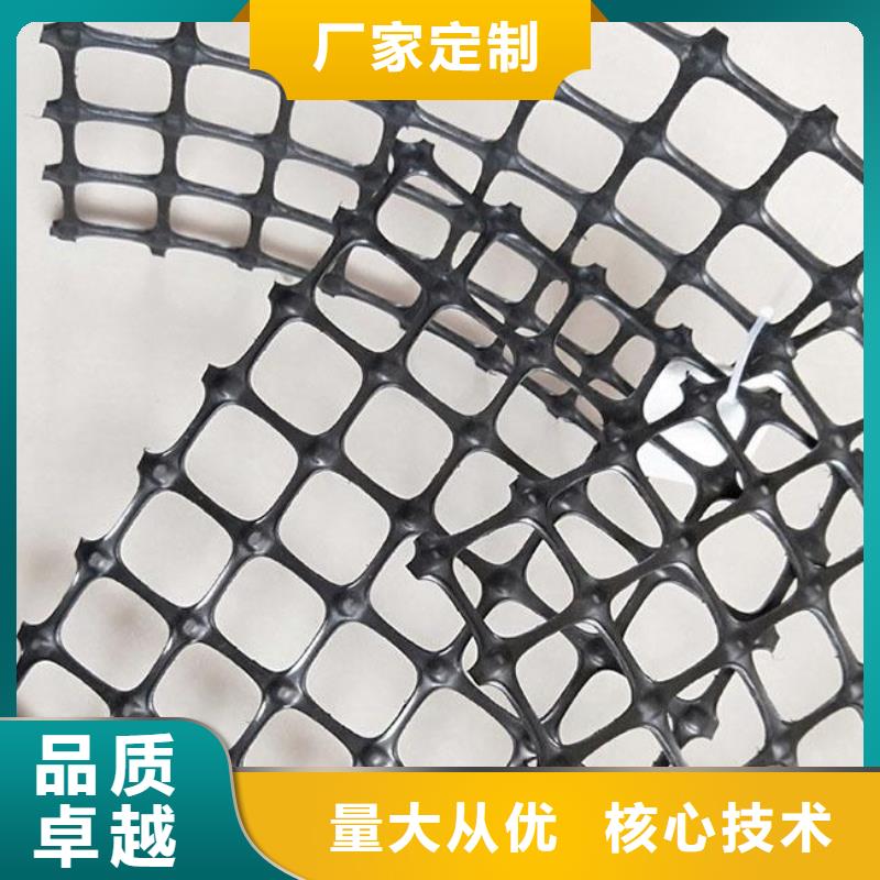 雙向塑料土工格柵三維植被網(wǎng)實(shí)體誠(chéng)信廠家
