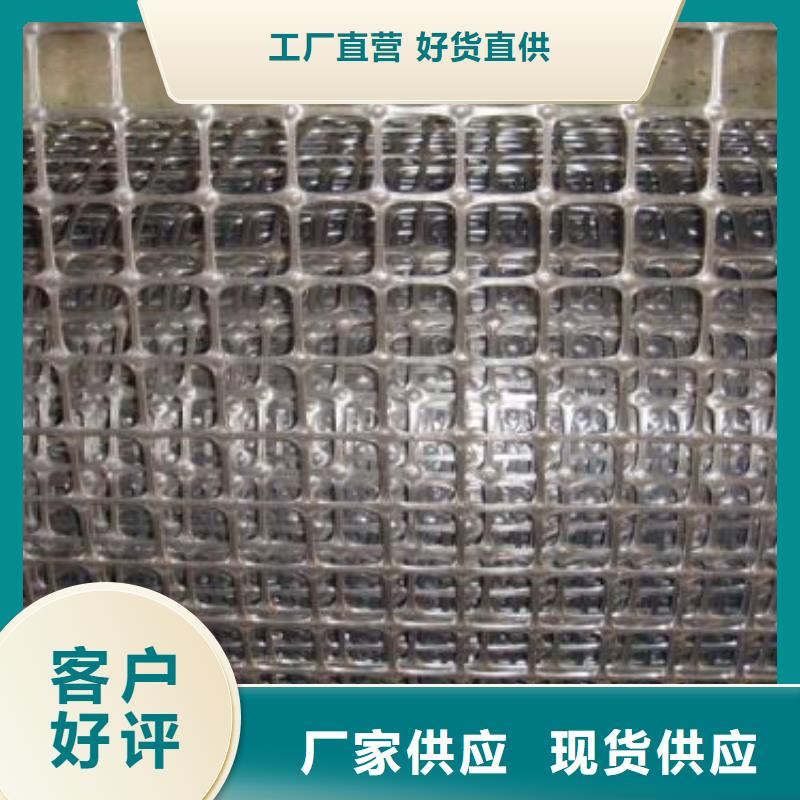 雙向塑料土工格柵三維植被網(wǎng)實(shí)體誠(chéng)信廠家