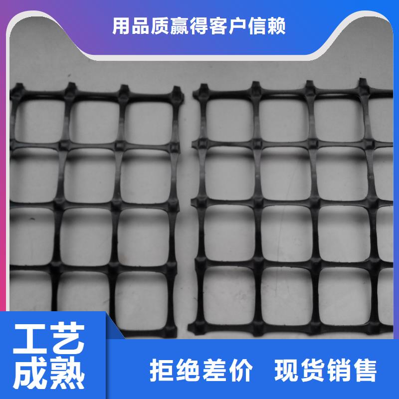 雙向塑料土工格柵三維植被網(wǎng)實(shí)體誠(chéng)信廠家