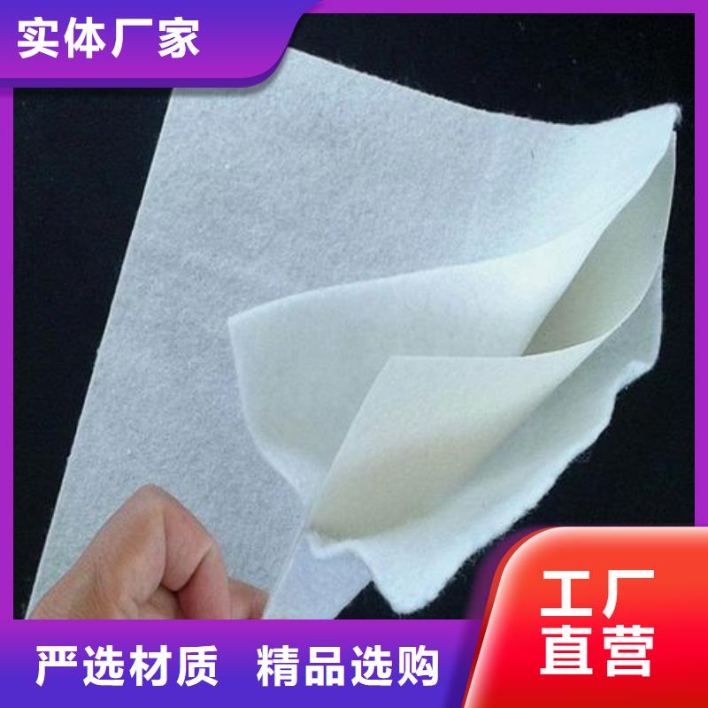 藕池防滲用土工膜價格