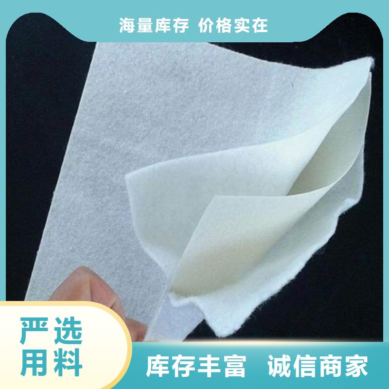 土工膜復(fù)合土工膜發(fā)貨迅速