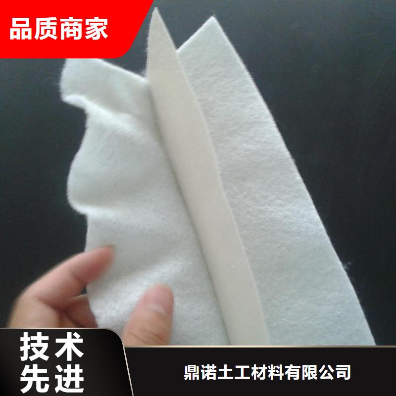 土工膜單向塑料土工格柵0中間商差價(jià)