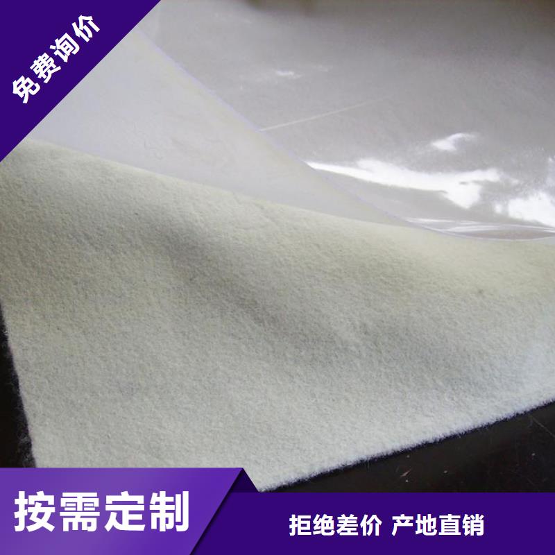 土工膜钢塑土工格栅源头厂源头货