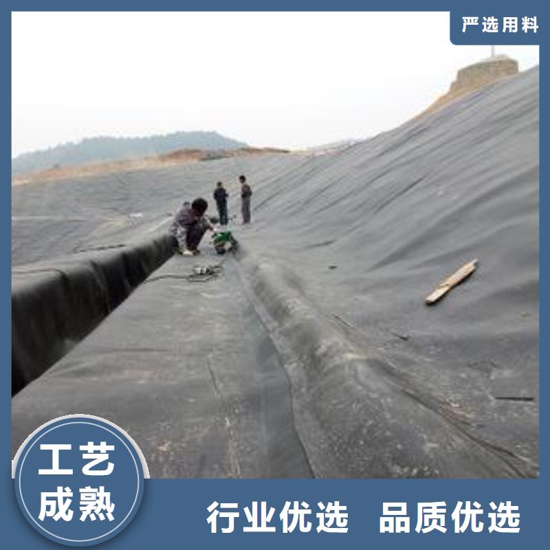 土工膜單向塑料土工格柵0中間商差價(jià)