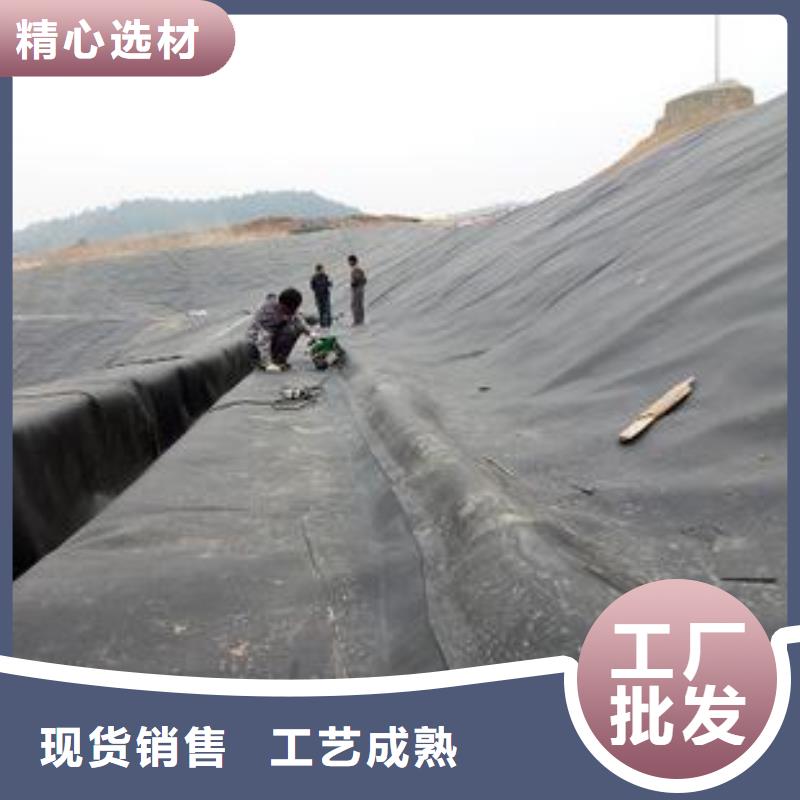 土工膜,土工格室現(xiàn)貨直發(fā)