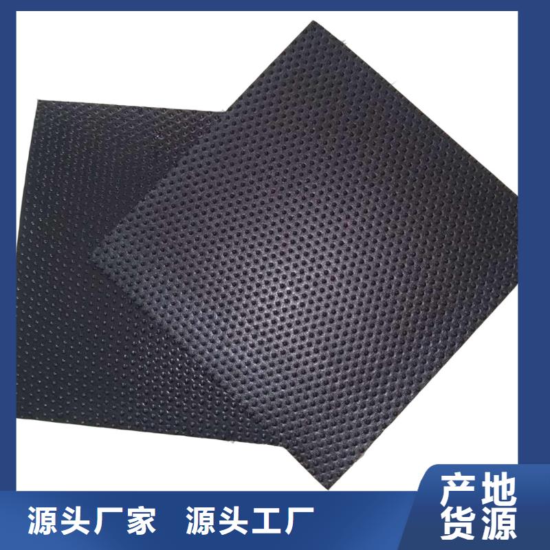 電廠調(diào)節(jié)池用防滲膜價格