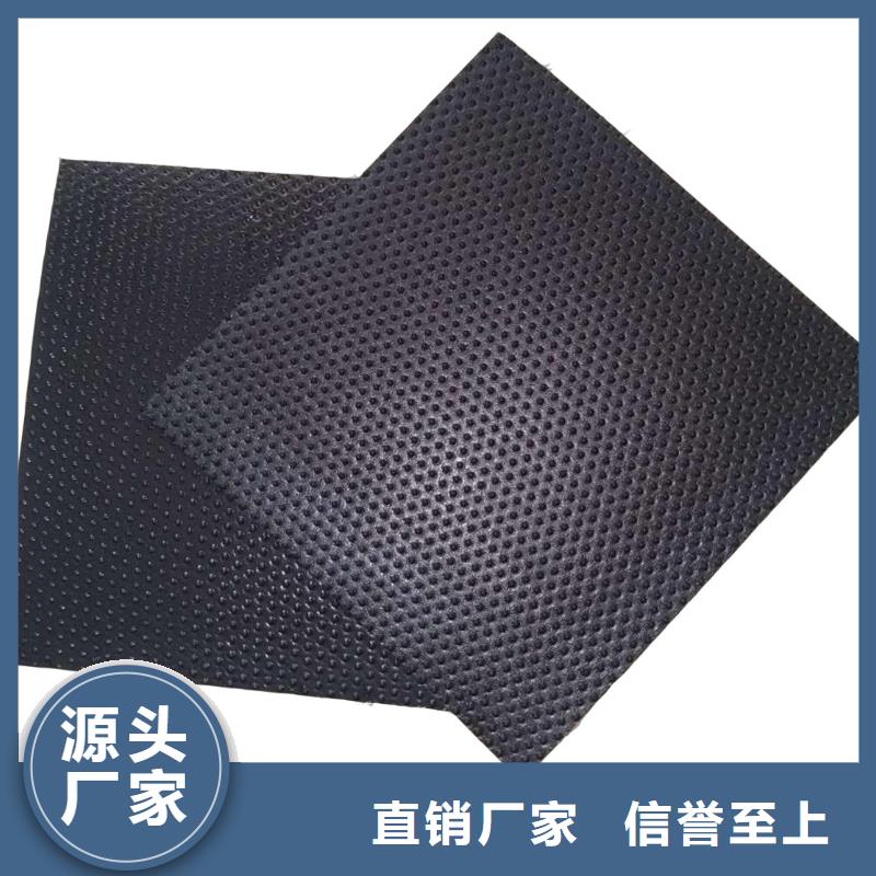 土工膜單向拉伸塑料格柵大品牌值得信賴