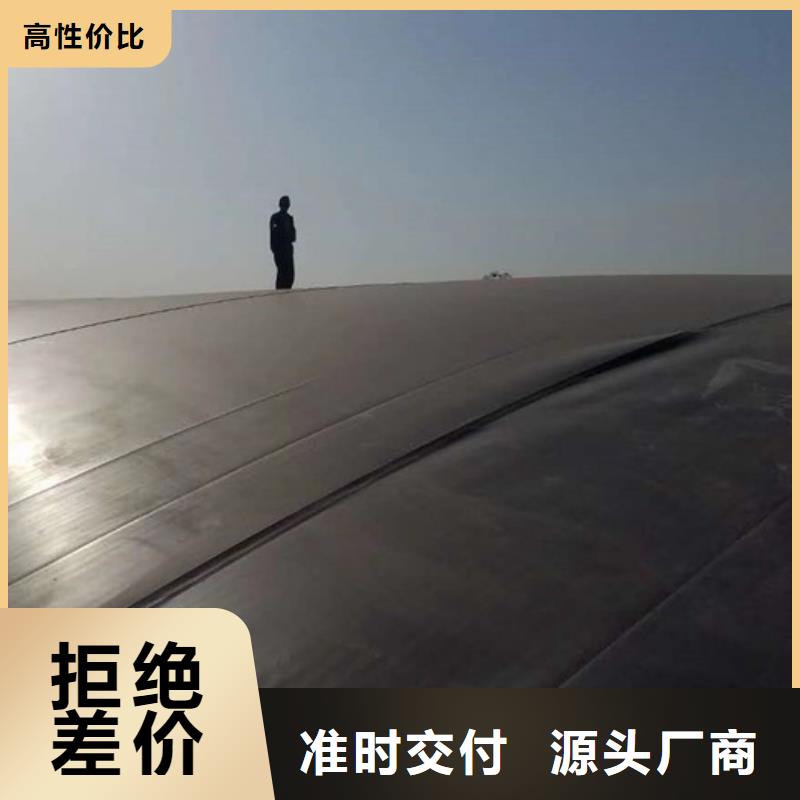 廠家直供hdpe土工膜防滲土工膜