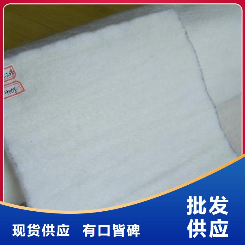 土工布-复合土工膜实力优品