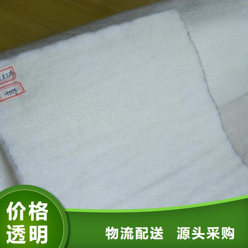 土工布-凸结点钢塑土工格栅大量现货