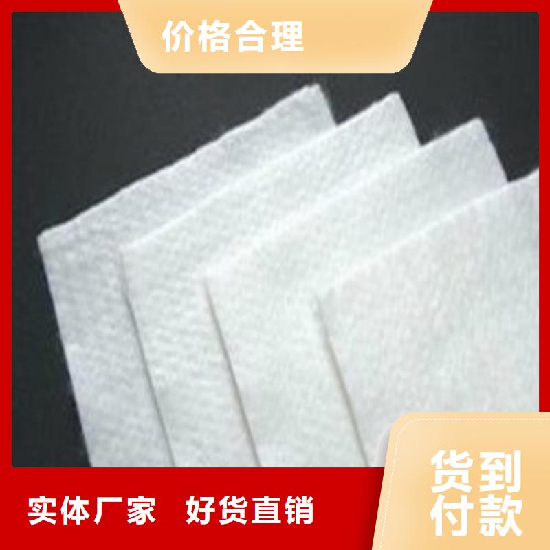 土工布_單向塑料土工格柵貼心服務(wù)