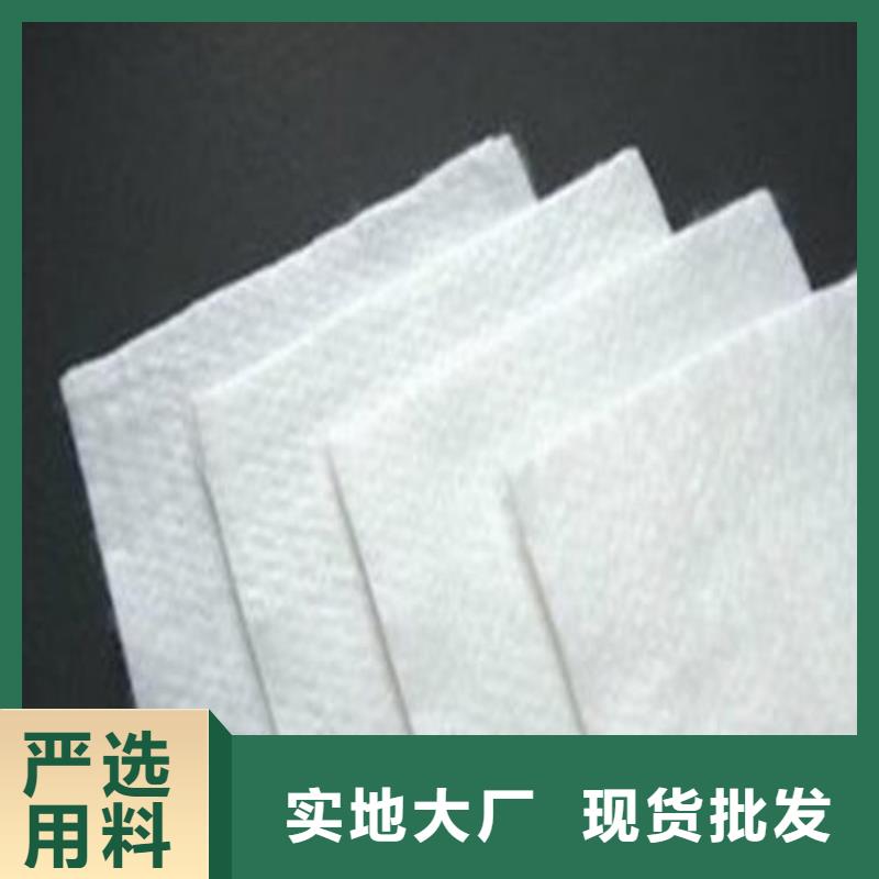 土工布雙向塑料土工格柵種類豐富